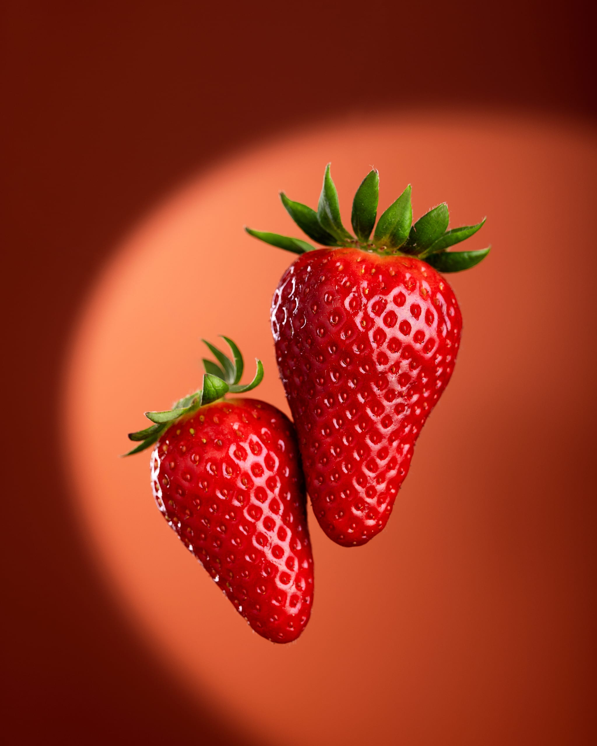 Fragole su fondo rosso, Stea