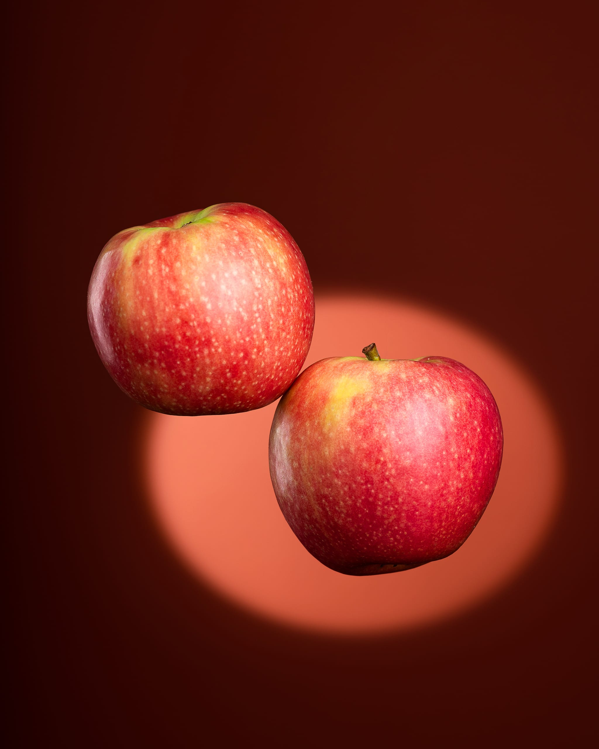 Mele su fondo rosso, Stea